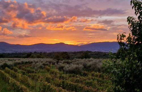 Agriturismo San Jacopo - Foto 14