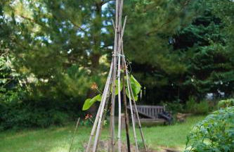 Epiphany House - Photo 31