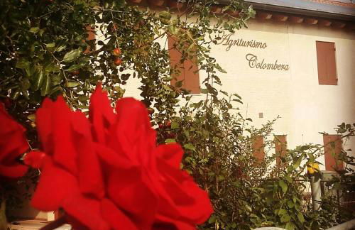 Agriturismo Colombera - Foto 32