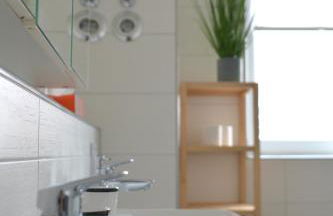 Schwarzwald Lahr Europapark Penthouse Sunshine - Foto 27