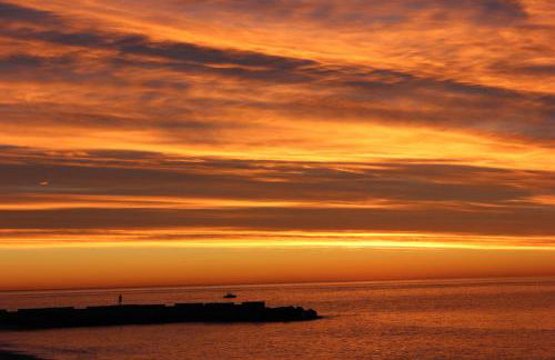 Les Agrumes - Foto 32