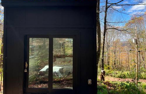 Fireplace Catskill Views Overlook Lake Cabin - Foto 38