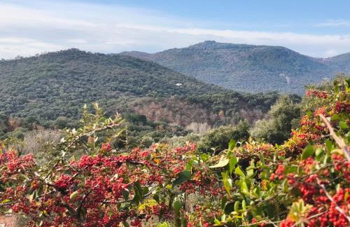 El rincón de Nora - Foto 8