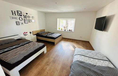 Große 2 Ferienwohnung Gästehaus NEUBAU Merzig 100 m2 - Photo 13