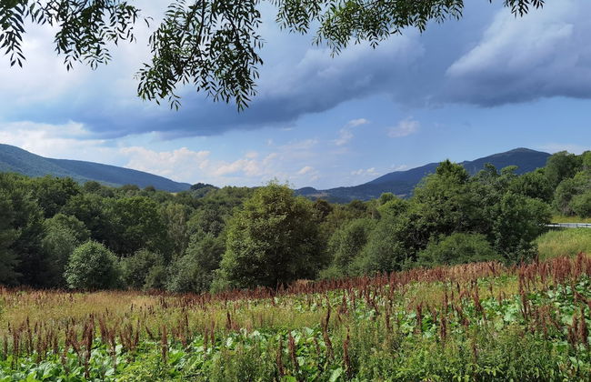 Excelent 1-bed Apartment in Rzeszow - Foto 21