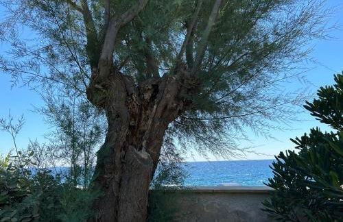 Villa Mantea - Foto 68