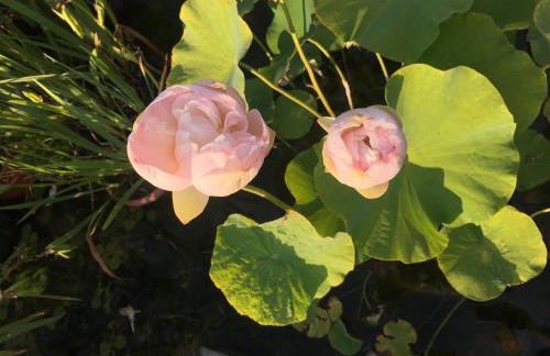 Villa Baronzola - Foto 41