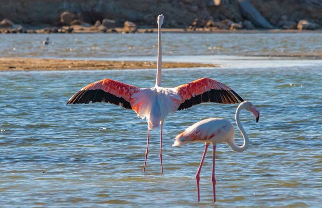 L'Ermitage Quagga Lodge - Photo 55