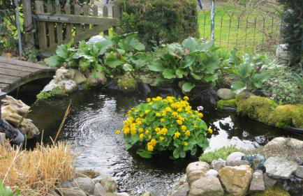 Ferienwohnung Boller I für 5 Personen - Foto 24