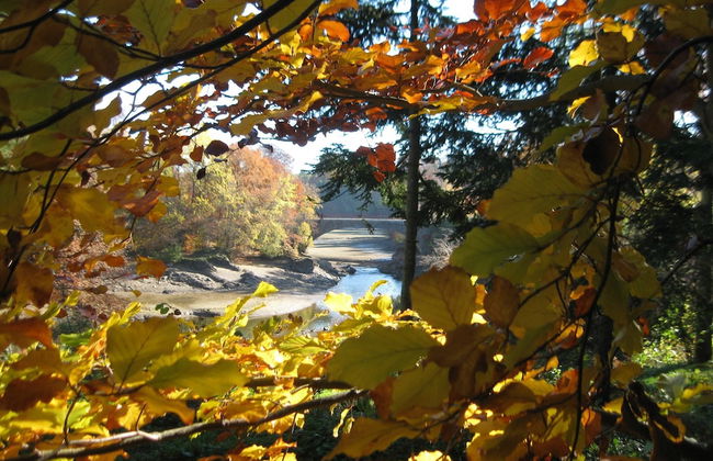 Spacious Cottage in Robertville With Swimming Pool - Foto 34