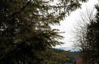 Artist's House - Foto 28