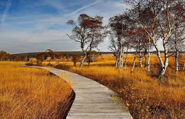 Luxury Spa Castle With Swimming Pool - Foto 30