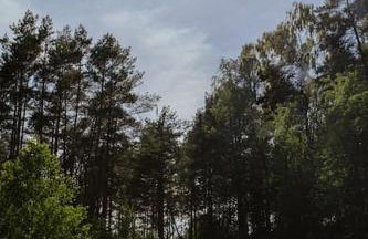 Rodzinny Dom na Łonie Natury - Foto 10