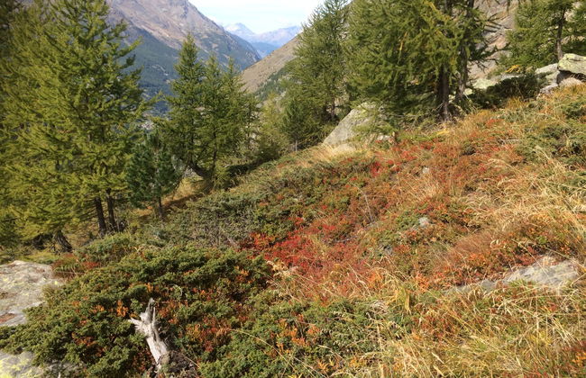 Chalet Sunstar Klein - Foto 21