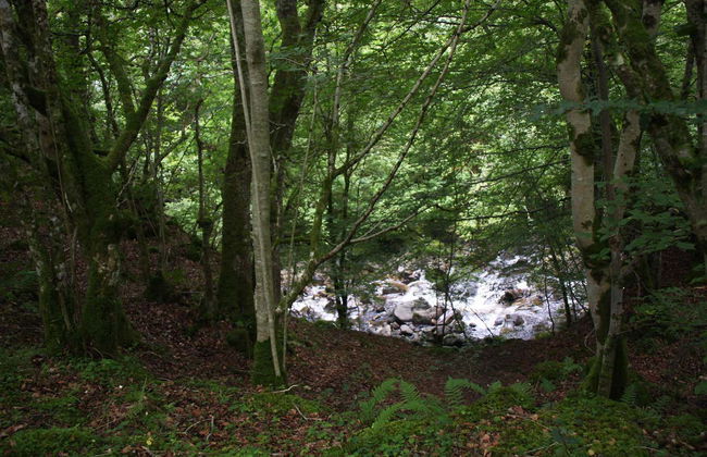 Torrentismo a Keltneyburn - Foto 4