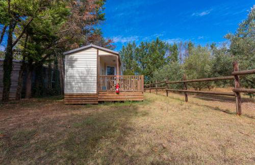 L’oliveraie Écuries Mas di Gau - Foto 16