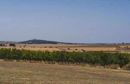 Masseria Torre Di Nebbia - Foto 36