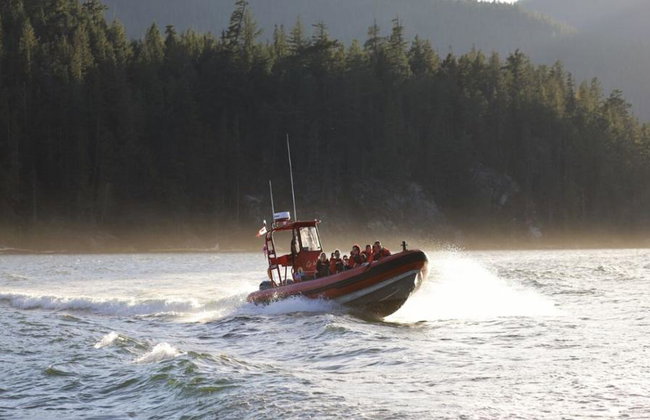 4 Hour Whale and Wildlife Boat Tour - Foto 19