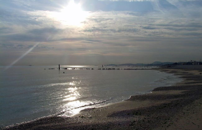 Agr. La Casa Della Lavanda - Il Rustico - Photo 17