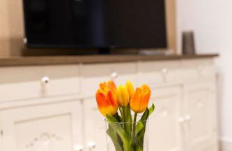 Alojamientos Carola Julio Burell, 74 - Foto 15