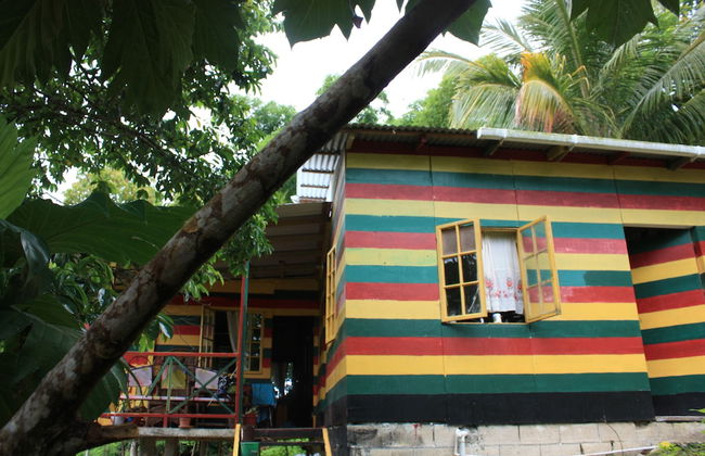 Nature in portland - Foto 24