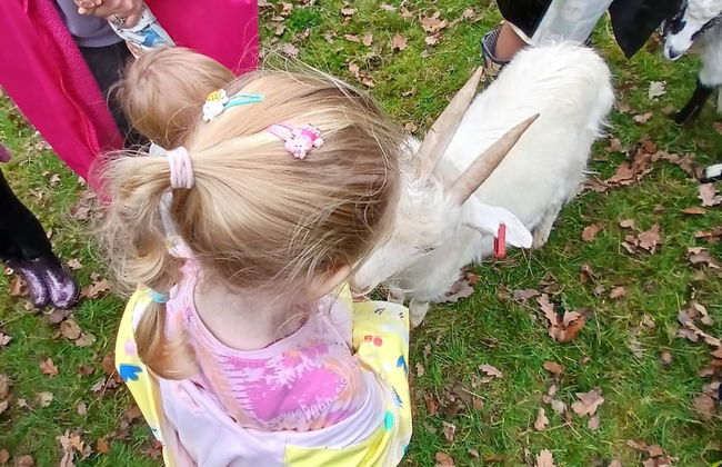 Idlewild Animal Sanctuary Farmhouse Stay - Charity - Photo 25