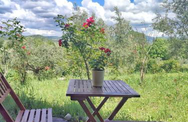 CasalPiano - Photo 10