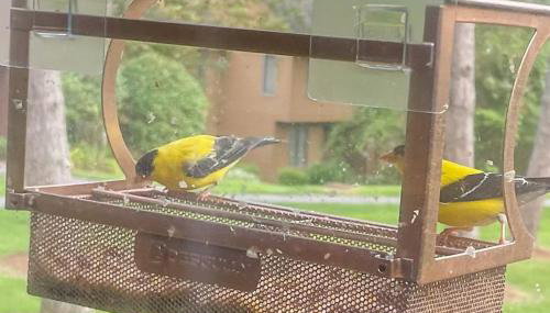 Saltbox 12F - Photo 4