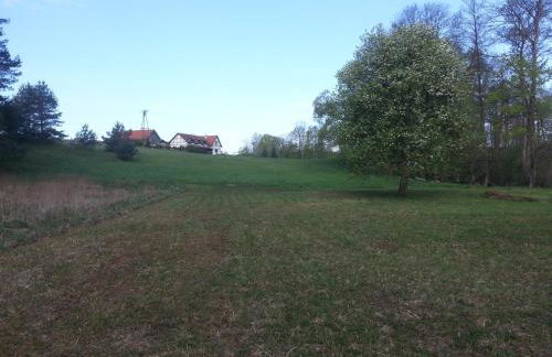 Natura Apartamenty - Foto 71