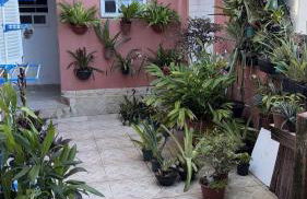 San Francisco Edney - Foto 25