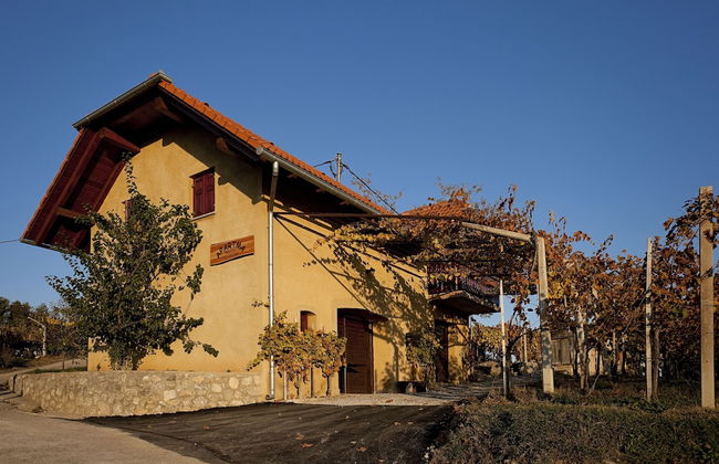 Vineyard Cottage Brodaric - Foto 21