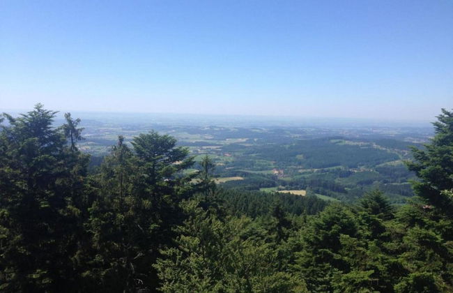 Geraumige Wohnung mit Sauna - Photo 31