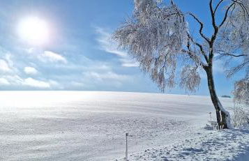 Landhaus Gnacke - Foto 66