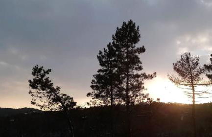 Antiche Dimore Del Vescovado - Foto 31