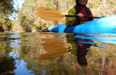 Treehouse wFull Disc Golf CourseDog Friendly - Foto 30