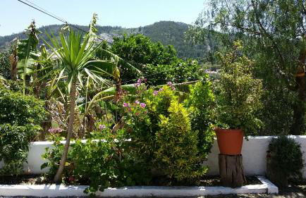 My House - Casa Charme - Foto 45