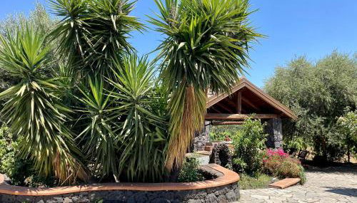 Maison Divaga - Foto 4