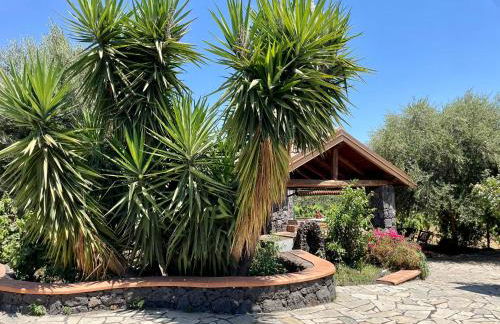 Maison Divaga - Foto 4