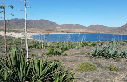 Casa Jamila - Foto 28