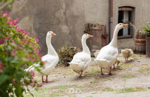 Sant'Angelo il paese delle fiabe - L'angolo di D'Artagnan - Foto 13