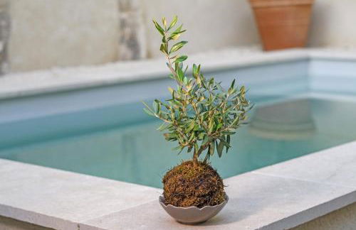 La Petite Maussanaise - Foto 8