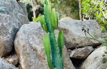 Villa Cala d Oro Vue mer Piscine et Crique privée - Foto 55