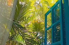 Casa Ilhabela a cinco minutos do centro - Foto 13