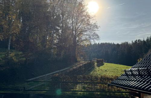 Entspannung im Wald - mit Schwimmbad - Foto 34
