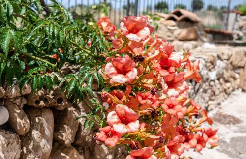 Villa Tre 's' - Foto 23