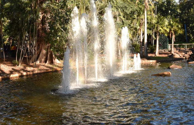 Tour por Darwin - Foto 1