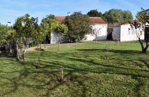 Casal das Laranjeiras - Foto 25