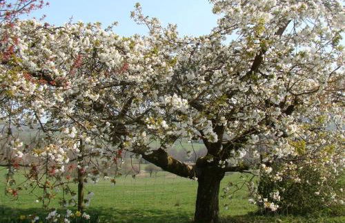 4 Bed in Painscastle 90375 - Foto 26