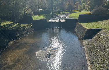Różany Ogród - Foto 7