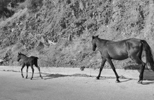 Infinity Villa - Foto 27